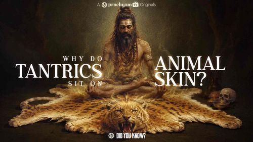 Why Do Tantrics Sit on Animal Skin?