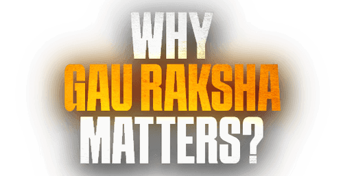 Gopesh Baba: From Cow Slaughter to Cow Protection: India’s Biggest Battle!